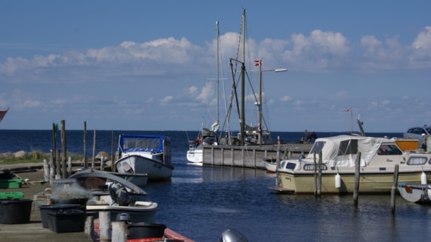 Delbakkegaards Lejrskole