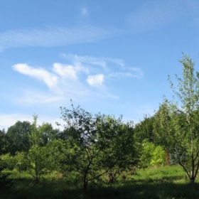 Forrestgarden Nordlangeland