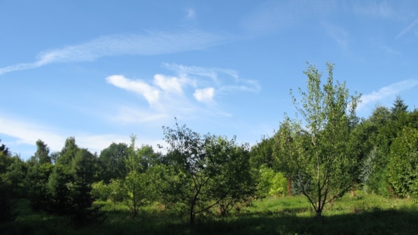 Forrestgarden Nordlangeland