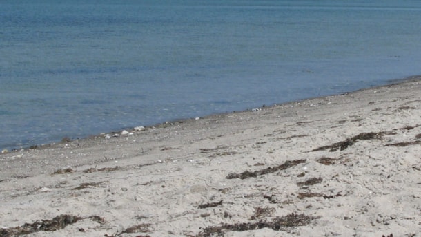 Stoense Havn Beach