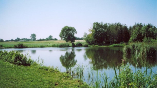 Langelands Lystfiskersø, Tryggelev