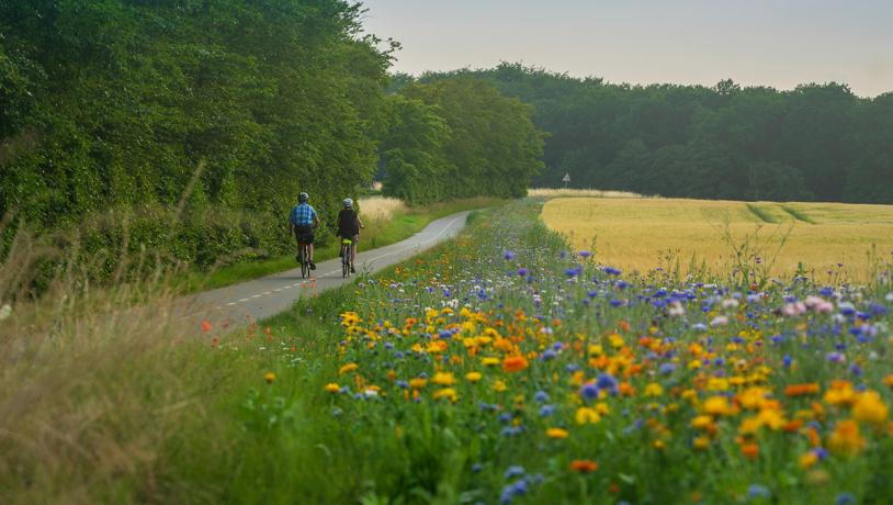 Cykelister på cykelstien ved Tullebølle