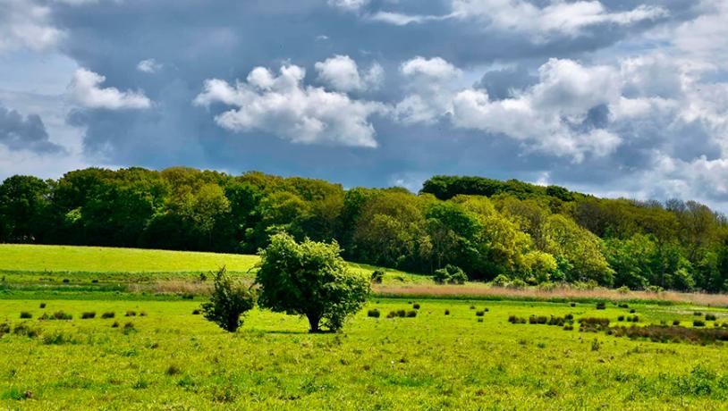 Kig ud over vejlen i Rudkøbing