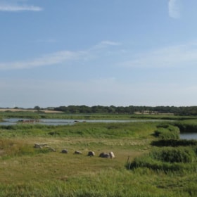 Walking Route 1,7 or 1,9 km: Tryggelev og Nørreballe Nor