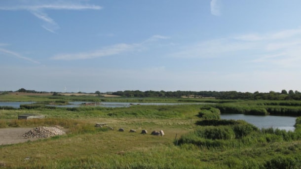 Geopark: Tryggelev Cove and Nørreballe Cove