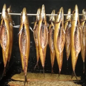 Rudkøbing Fisk & Røgeri