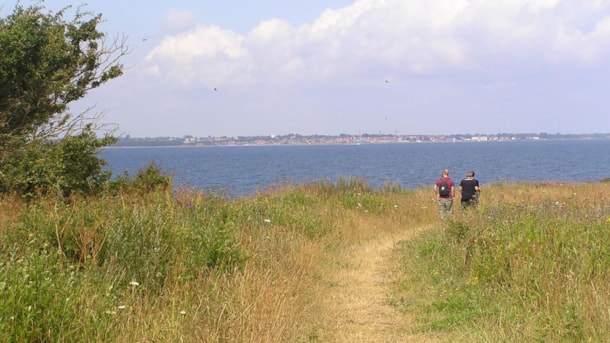 Geospot: Ristinge Hale 