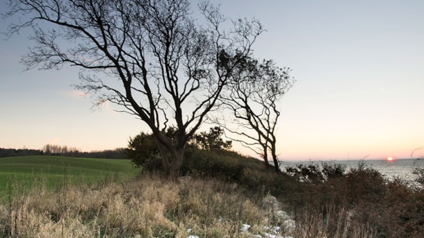 Long dolmen in Helletofte