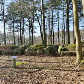Double passage grave in Tvede Forest