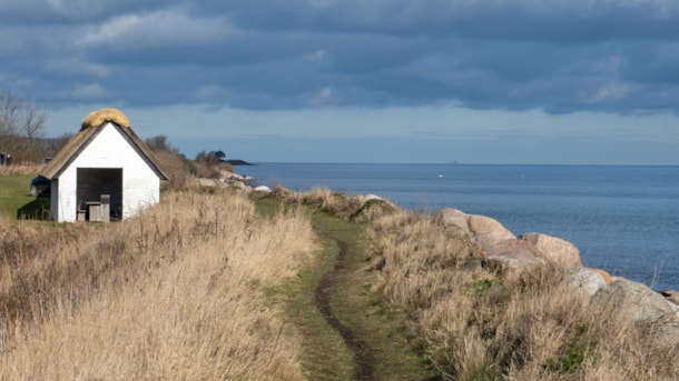 Østerskov - primitive tent site