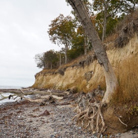 Walking Route: Lunden - Woods and Wetlands
