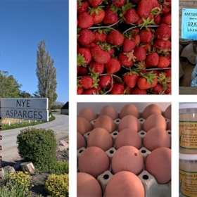 The farm shop in Kædeby