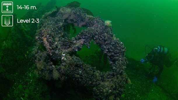 Wreck dive: Binz - The southern part of the Langeland Belt