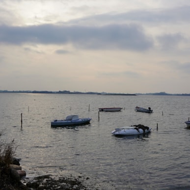 Scenic dive: Lindelse Nor