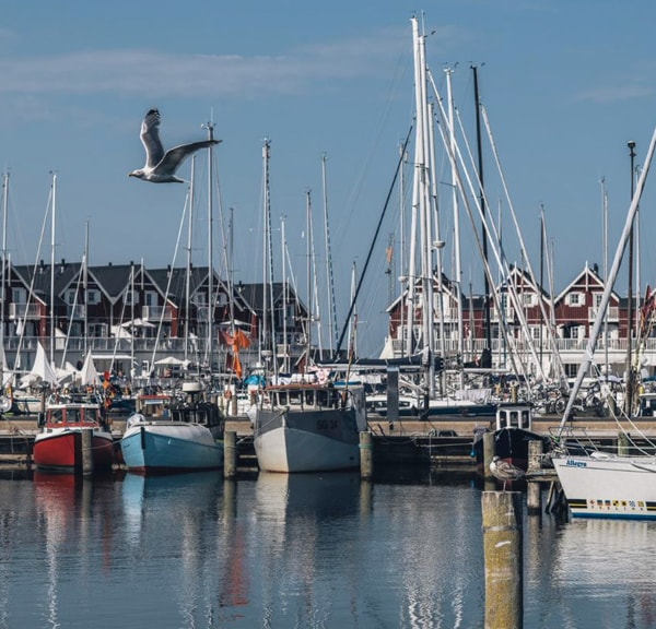 Fishing spot: Bagenkop