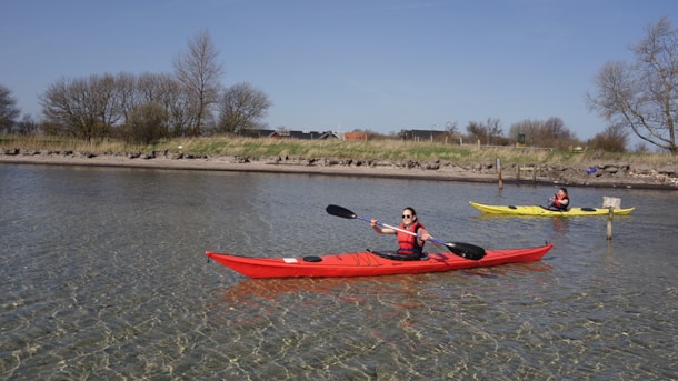 Kayak fun in shallow water by the Øhavets Smakkecenter