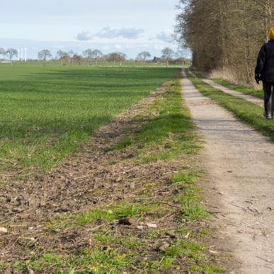Walking Route 3,5 el. 6 km: Snødestien