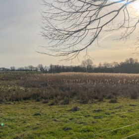 Walking Route: The Fredskov Woods and the “Heart Path”