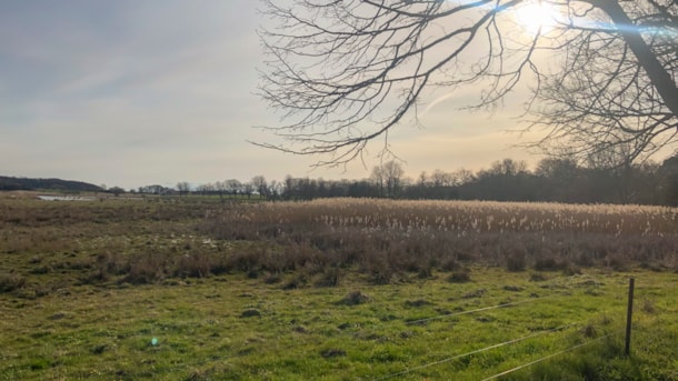 Walking Route: The Fredskov Woods and the “Heart Path”