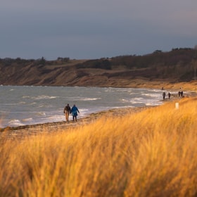Walking Route: Ristinge cliff and the peninsula 