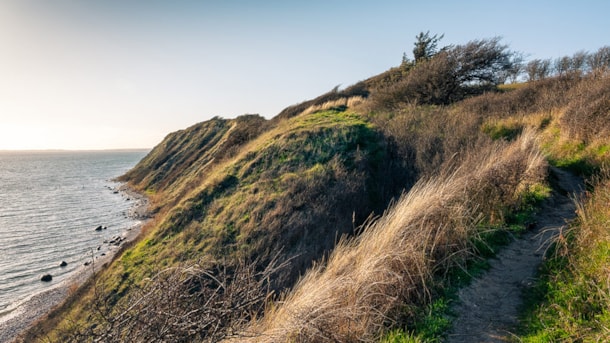 Walking Route: Hjertesti - Ristinge Halvø