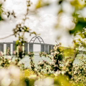 Walk Around Langeland - Etape 6 - 12 km - Rudkøbing - Korsebølle