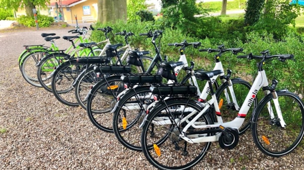 Færgegårdens Camping - Spodsbjerg - Bike rental