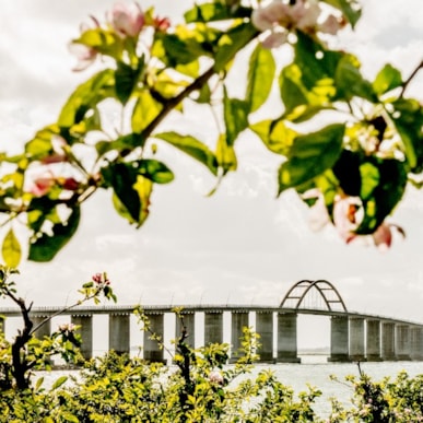 The Archipelago Trail: 13 km - Rudkøbing - Spodsbjerg