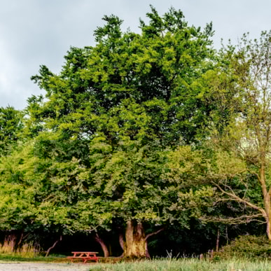 The Archipelago Trail: 12 km - Spodsbjerg - Tranekær