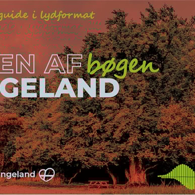 Podcast: Sounds of the Beech Tree