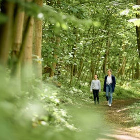 Walking Route 1,6 km: Bræmlevænget