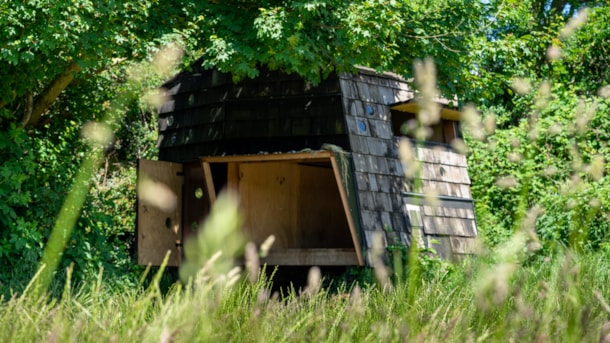 Shelter Pæregård Strand