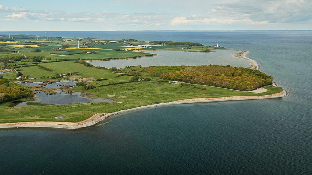 Dovns Klint og Gulstav Mose