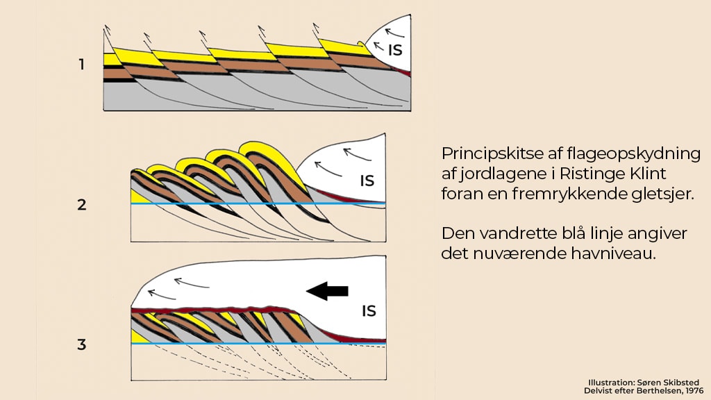 Flagforskydning på Ristinge Klint