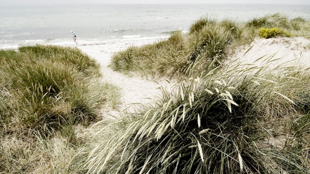 Geopark: Ristinge Beach