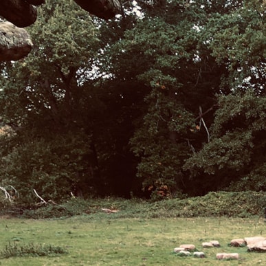 TICKON: Et Lydår (A year in sound), Gunner Møller Pedersen