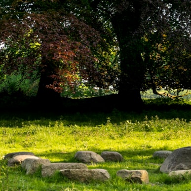 TICKON: Lyttekreds (Listening-Circle), Alfio Bonanno