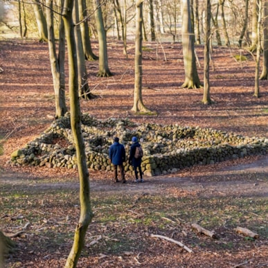 TICKON: Diamond Mines, Dan Snow