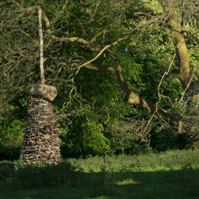 TICKON: Tranekær-varder (Tranekær-cairns), Chris Booth