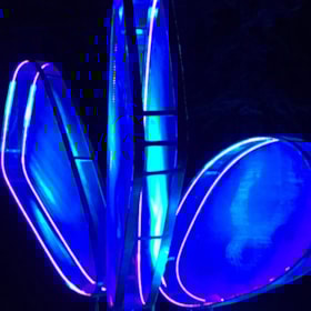 TICKON: Love Motel for Insects, Brandon Ballengée