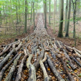 TICKON: Organic Highway, Mikael Hansen