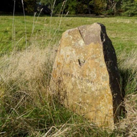 TICKON: Migration Avium, Jussi Heikkilä