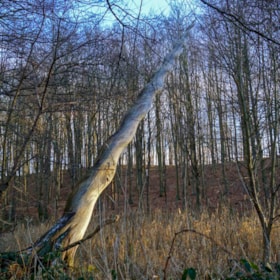 TICKON: Unicorn Horn, John Rønnau