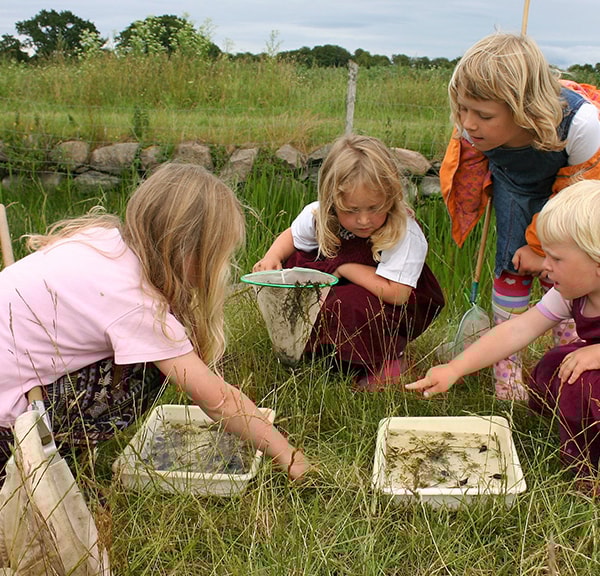 Skovsgaard Nature Mediation