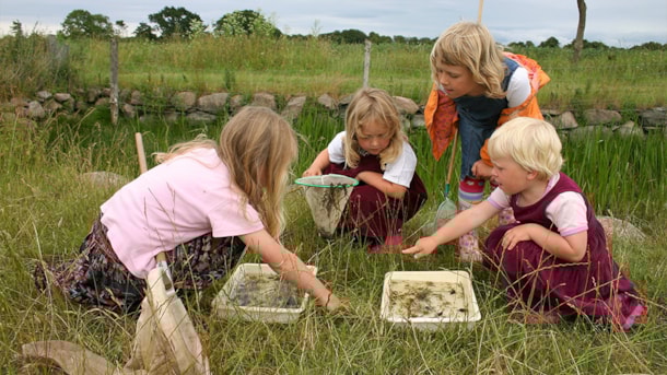 Skovsgaard Nature Mediation