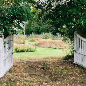 Use your senses in the Vegetable Garden