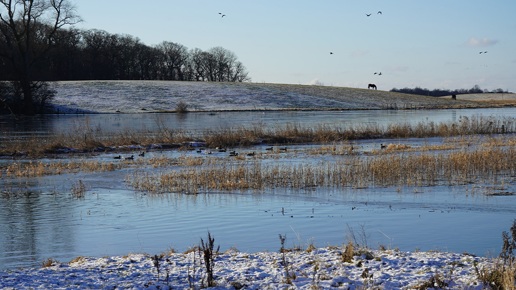Rudkøbing Vejle, vinter 2024