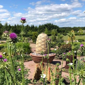 The Medicine Gardens in Tranekær
