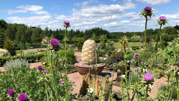 The Medicine Gardens in Tranekær