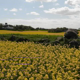 Long dolmen the Grave of King Humble